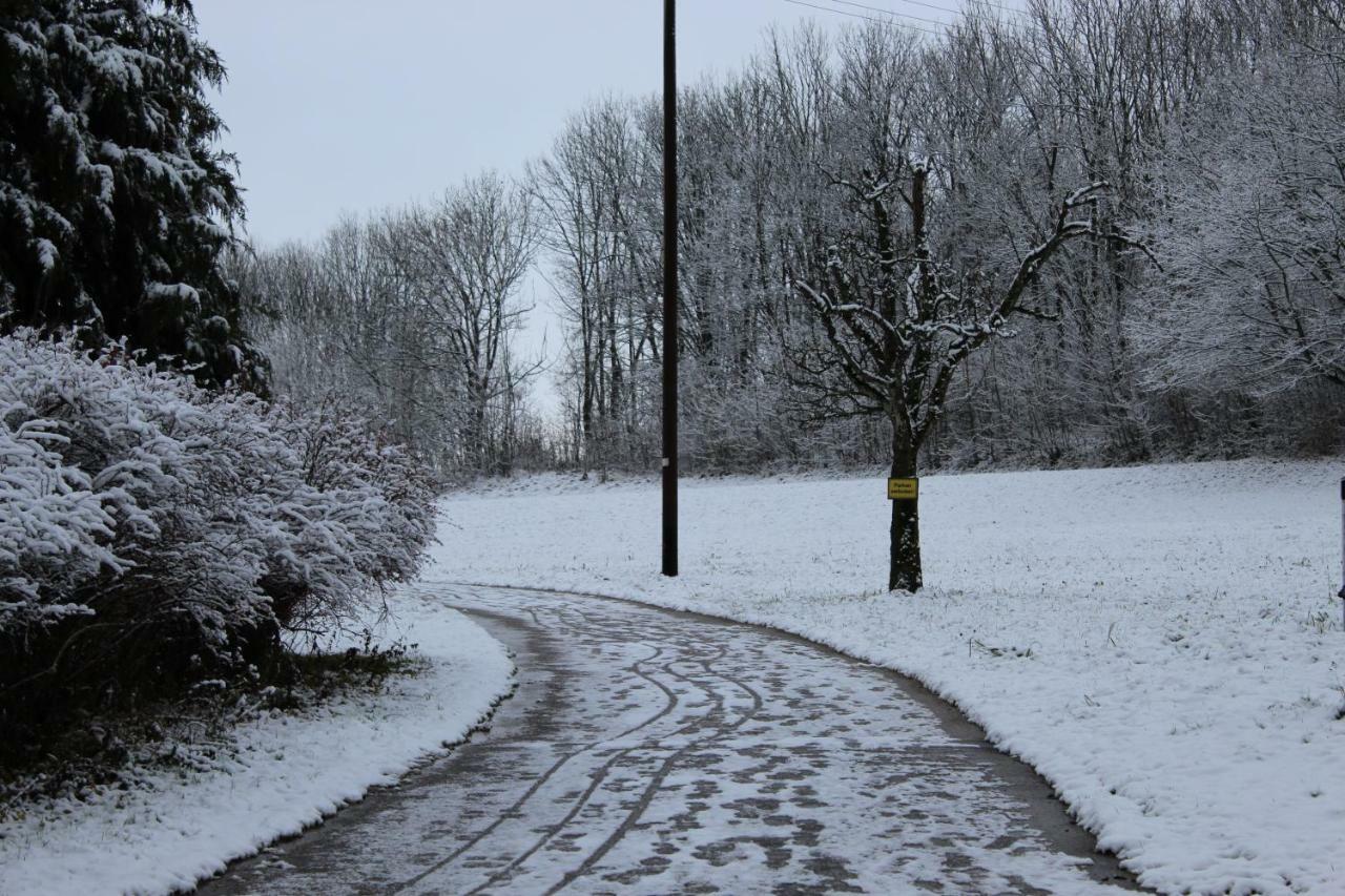 Gasthof Roessle Ochsenwang Bissingen an der Teck エクステリア 写真
